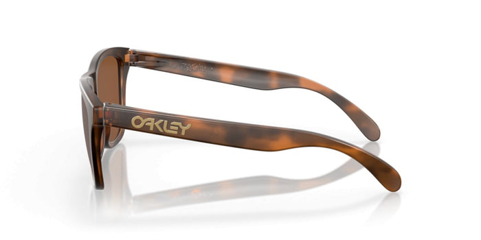 Gafas de Sol Oakley Frogskins OO9013 C5 55 17 — vista 3
