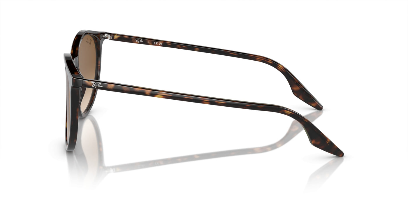 Gafas de Sol Ray-Ban RB2204 902/51 51 20