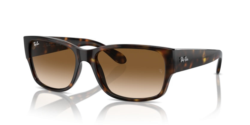 Gafas de Sol Ray-Ban RB4388 710/51 55 18