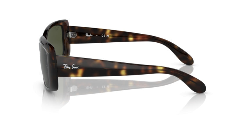 Gafas de Sol Ray-Ban RB4389 710/31 58 17