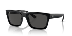 Sonnenbrillen Ray-Ban Warren RB4396 667787 57 20