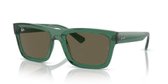 Sunglasses Ray-Ban Warren RB4396 6681/3 57 20
