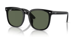 Sunglasses Ray-Ban RB4401D 601/71 57 20