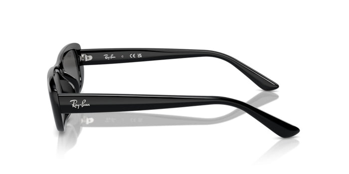 Sunglasses Ray-Ban RB4436D 667787 55 16 — vista 3