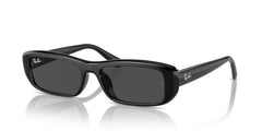 Sonnenbrillen Ray-Ban RB4436D 667787 55 16