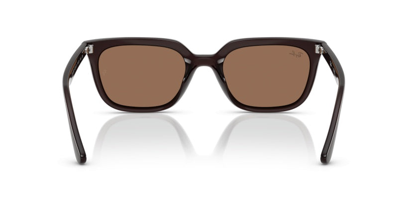 Gafas de Sol Ray-Ban RB4439D 623173 54 21