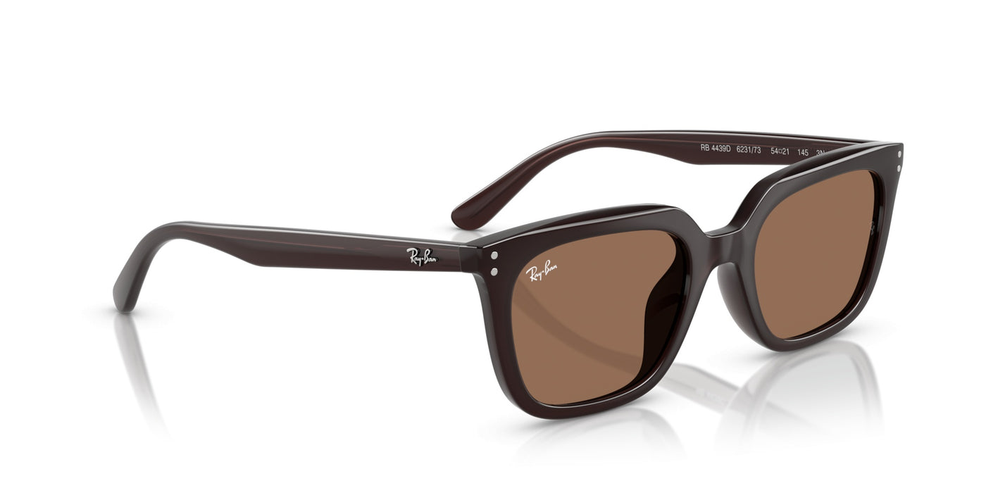Gafas de Sol Ray-Ban RB4439D 623173 54 21