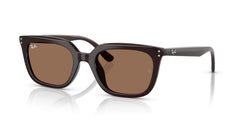 Sunglasses Ray-Ban RB4439D 623173 54 21