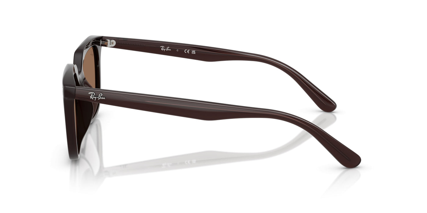 Gafas de Sol Ray-Ban RB4439D 623173 54 21