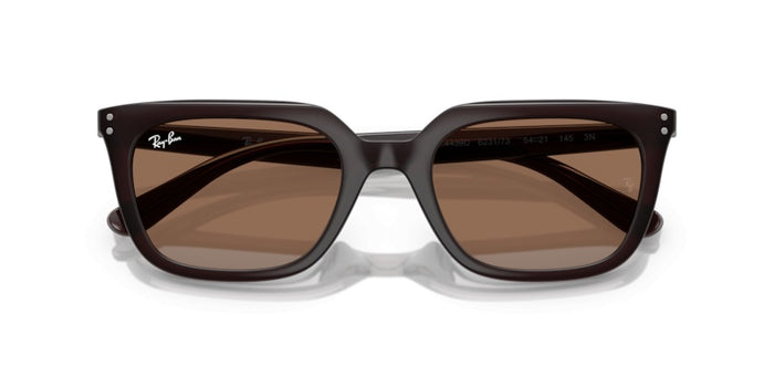 Sonnenbrillen Ray-Ban RB4439D 623173 54 21 — vista 7