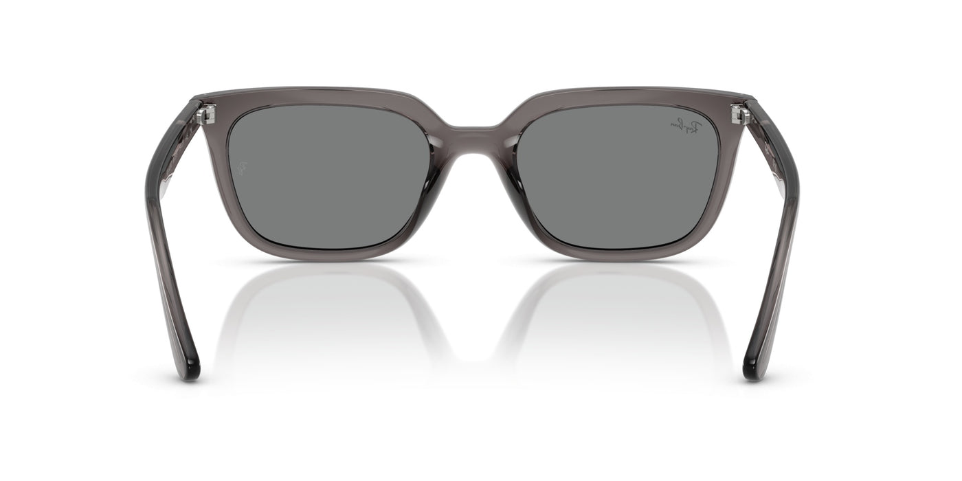 Gafas de Sol Ray-Ban RB4439D 667587 54 21