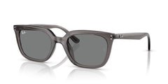 Sonnenbrillen Ray-Ban RB4439D 667587 54 21
