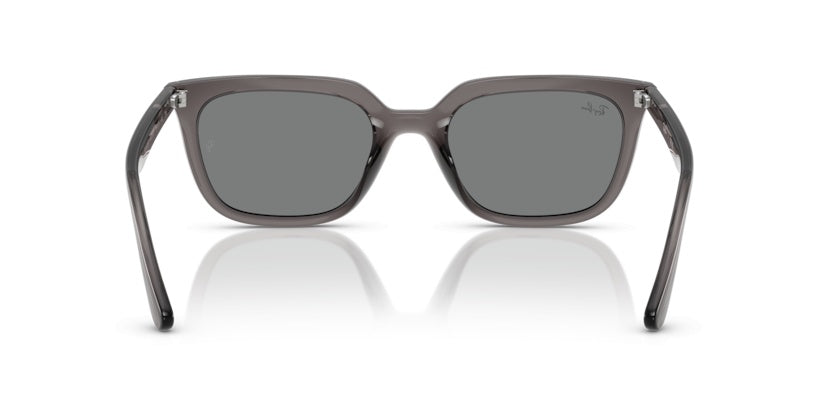 Gafas de Sol Ray-Ban RB4439D 667587 54 21
