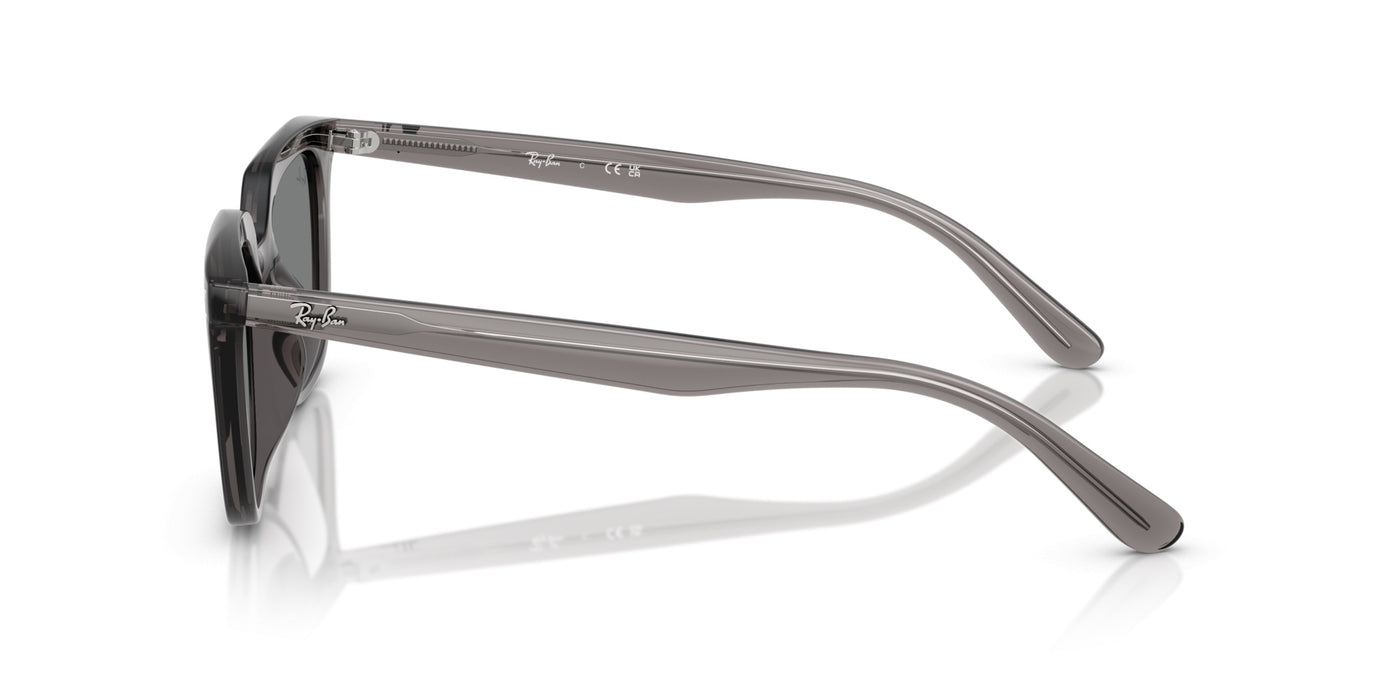 Gafas de Sol Ray-Ban RB4439D 667587 54 21