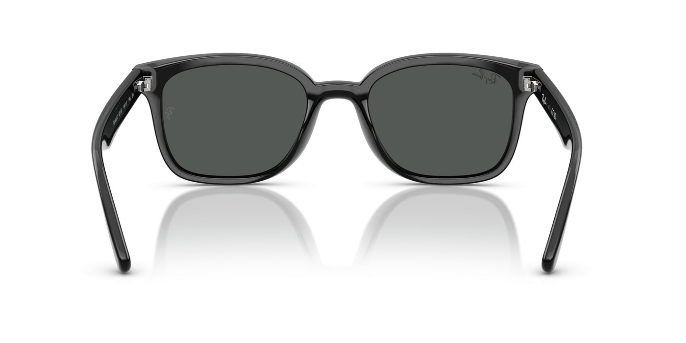 Gafas de Sol Ray-Ban RB4461D 601/87 64 17