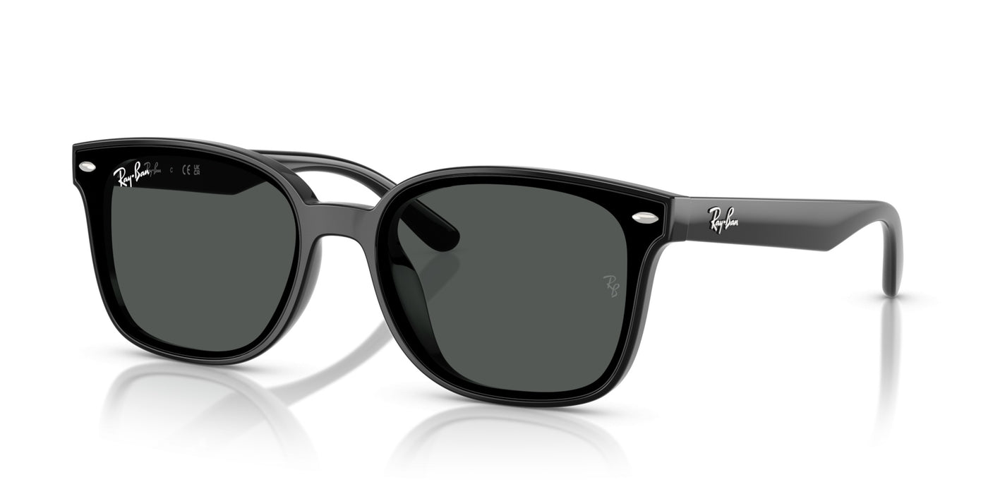 Gafas de Sol Ray-Ban RB4461D 601/87 64 17
