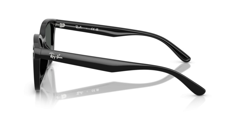 Gafas de Sol Ray-Ban RB4461D 601/87 64 17