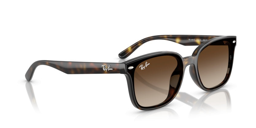Gafas de Sol Ray-Ban RB4461D 710/13 64 17