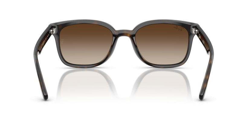 Gafas de Sol Ray-Ban RB4461D 710/13 64 17