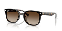 Sunglasses Ray-Ban RB4461D 710/13 64 17