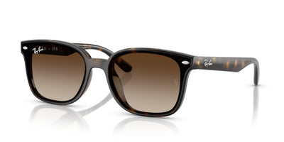 Sonnenbrillen Ray-Ban RB4461D 710/13 64 17