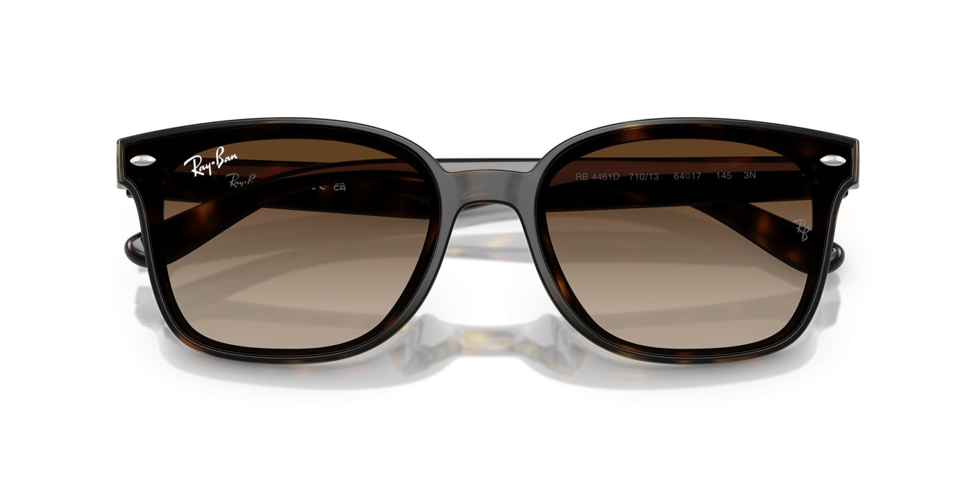 Gafas de Sol Ray-Ban RB4461D 710/13 64 17