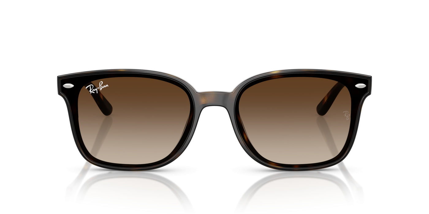 Gafas de Sol Ray-Ban RB4461D 710/13 64 17