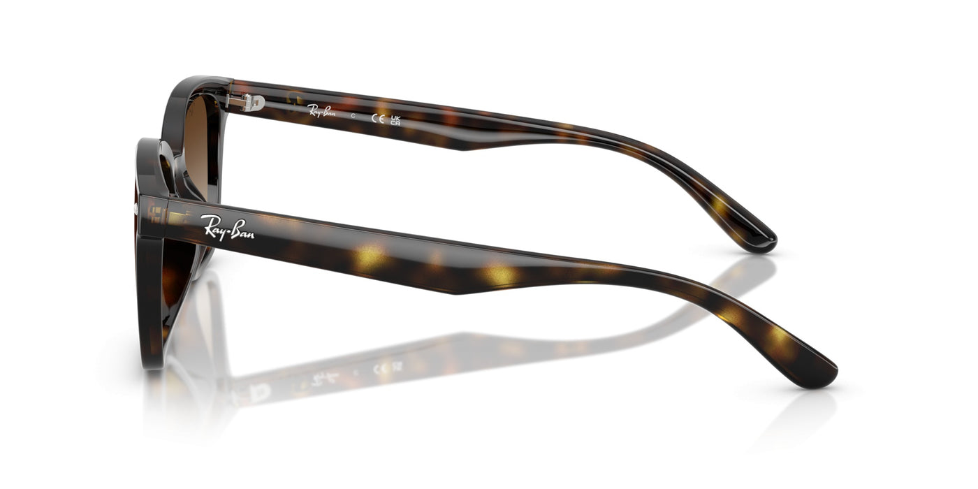 Gafas de Sol Ray-Ban RB4461D 710/13 64 17