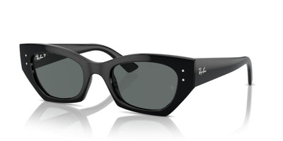 Sonnenbrillen Ray-Ban Zena RB4430 667781 49 22