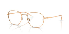 Prescription Glasses Ray-Ban RX8777D 1248 53 19