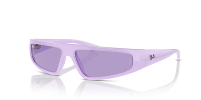 Sonnenbrillen Ray-Ban Izal RB4432 67581A 59 13