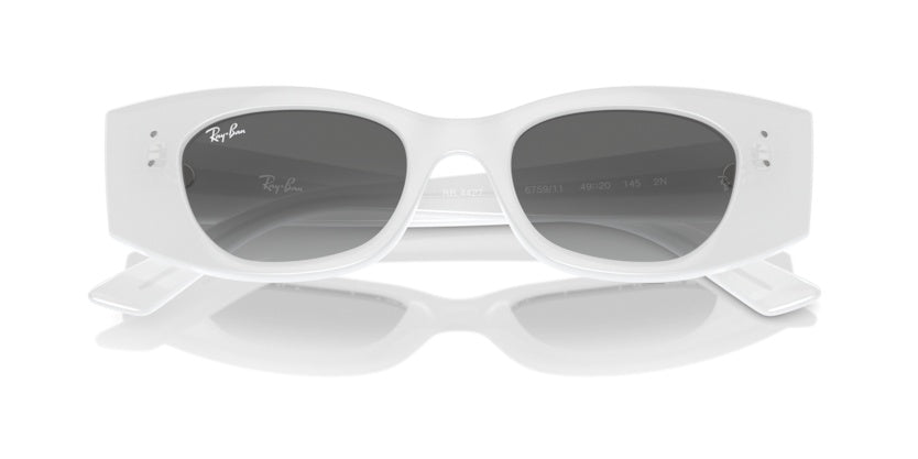 Gafas de Sol Ray-Ban Kat RB4427 675911 49 20