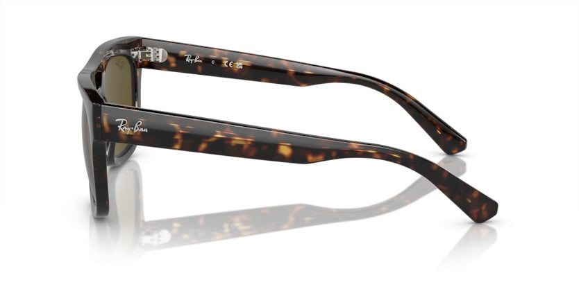 Gafas de Sol Ray-Ban RB4426 135973 54 21