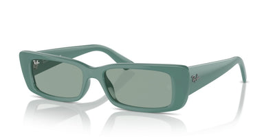 Sunglasses Ray-Ban Teru RB4425 676282 54 17