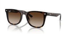 Sunglasses Ray-Ban RB4420 710/13 65 18
