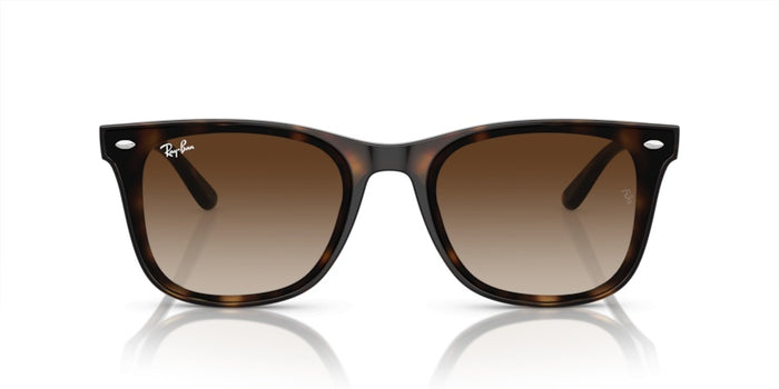 Sonnenbrillen Ray-Ban RB4420 710/13 65 18 — vista 2