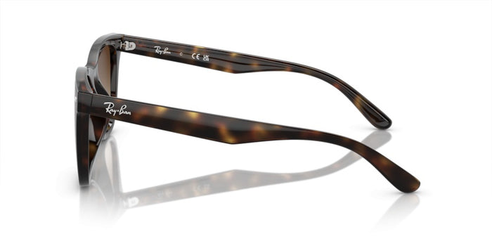 Sonnenbrillen Ray-Ban RB4420 710/13 65 18 — vista 3