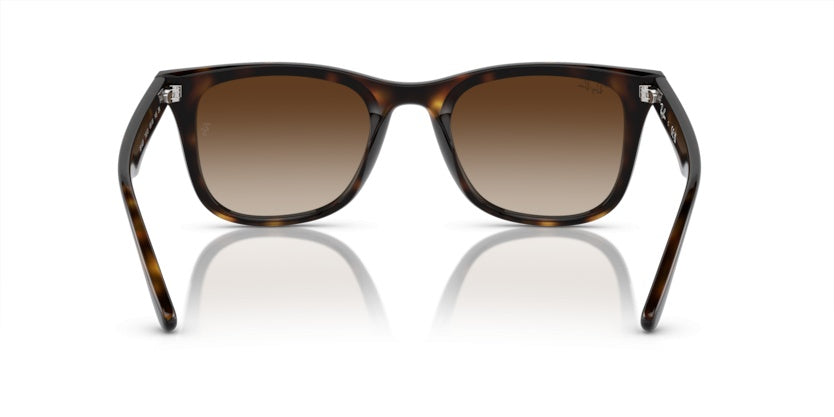 Gafas de Sol Ray-Ban RB4420 710/13 65 18