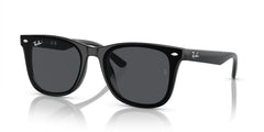 Sonnenbrillen Ray-Ban RB4420 601/87 65 18