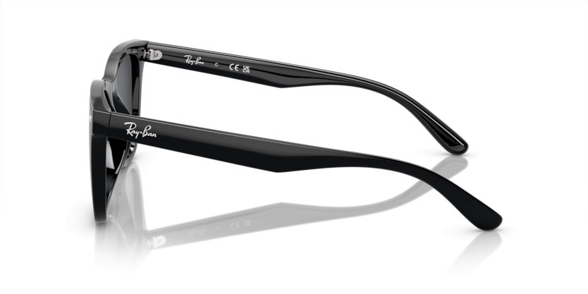 Gafas de Sol Ray-Ban RB4420 601/87 65 18