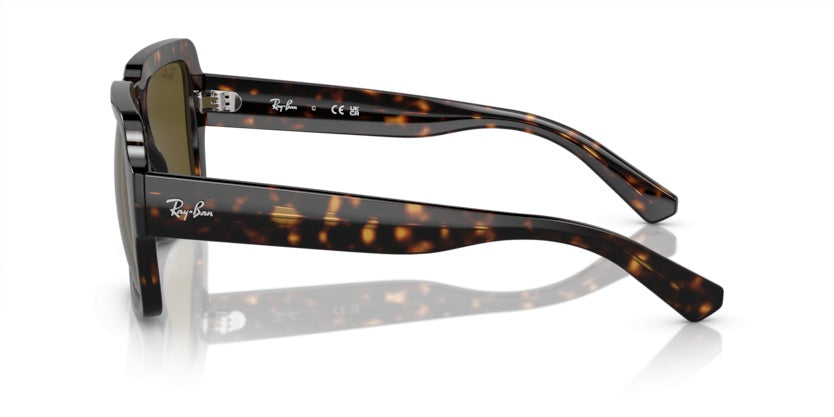 Gafas de Sol Ray-Ban Magellan RB4408 135973 54 19