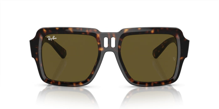 Sonnenbrillen Ray-Ban Magellan RB4408 135973 54 19 — vista 2