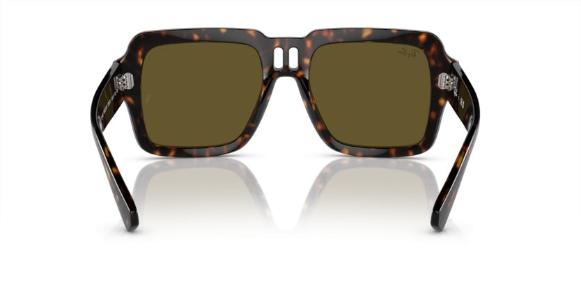 Gafas de Sol Ray-Ban Magellan RB4408 135973 54 19
