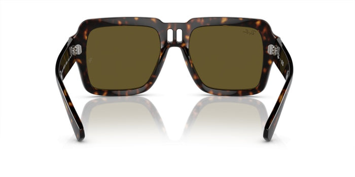 Sonnenbrillen Ray-Ban Magellan RB4408 135973 54 19 — vista 5
