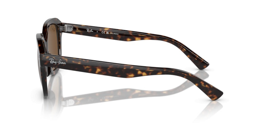 Gafas de Sol Ray-Ban Erik RB4398 902/57 51 20