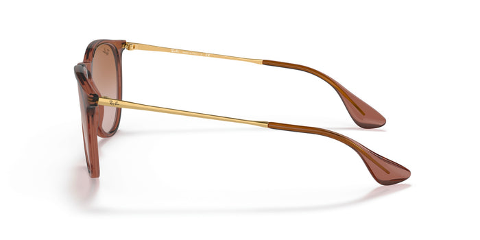 Sunglasses Ray-Ban Erika RB4171 659013 54 18 — vista 6