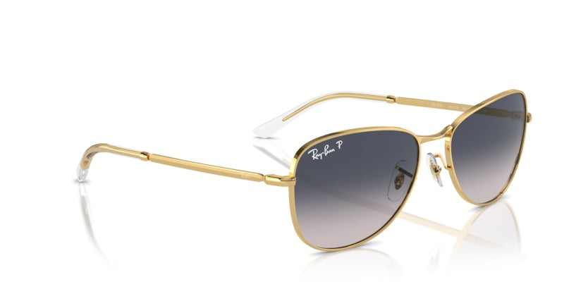 Gafas de Sol Ray-Ban RB3733 001/78 59 17
