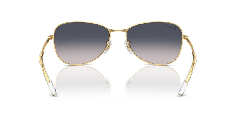 Gafas de Sol Ray-Ban RB3733 001/78 59 17