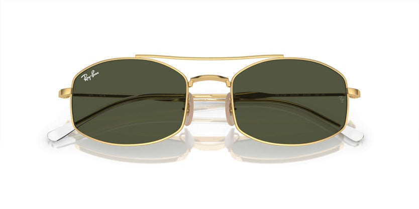 Gafas de Sol Ray-Ban RB3719 001/31 54 20