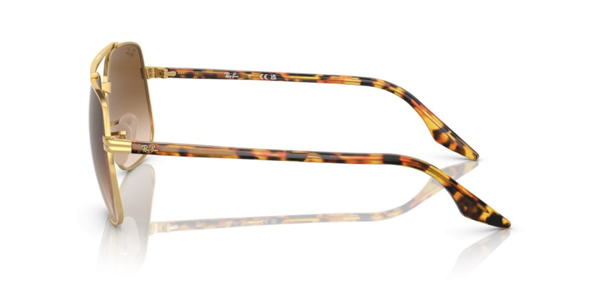 Gafas de Sol Ray-Ban RB3699 001/51 59 18